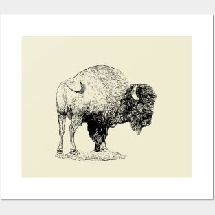 Bison Posters and Art